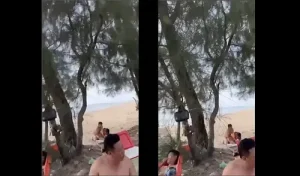 Ra biển quay lén cặp đôi doggy trên bãi