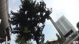 Làm tình con em gái dâm nứng lồn trên cáp treo quá đã